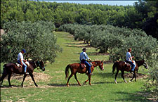 France-Provence-A Taste of Provence